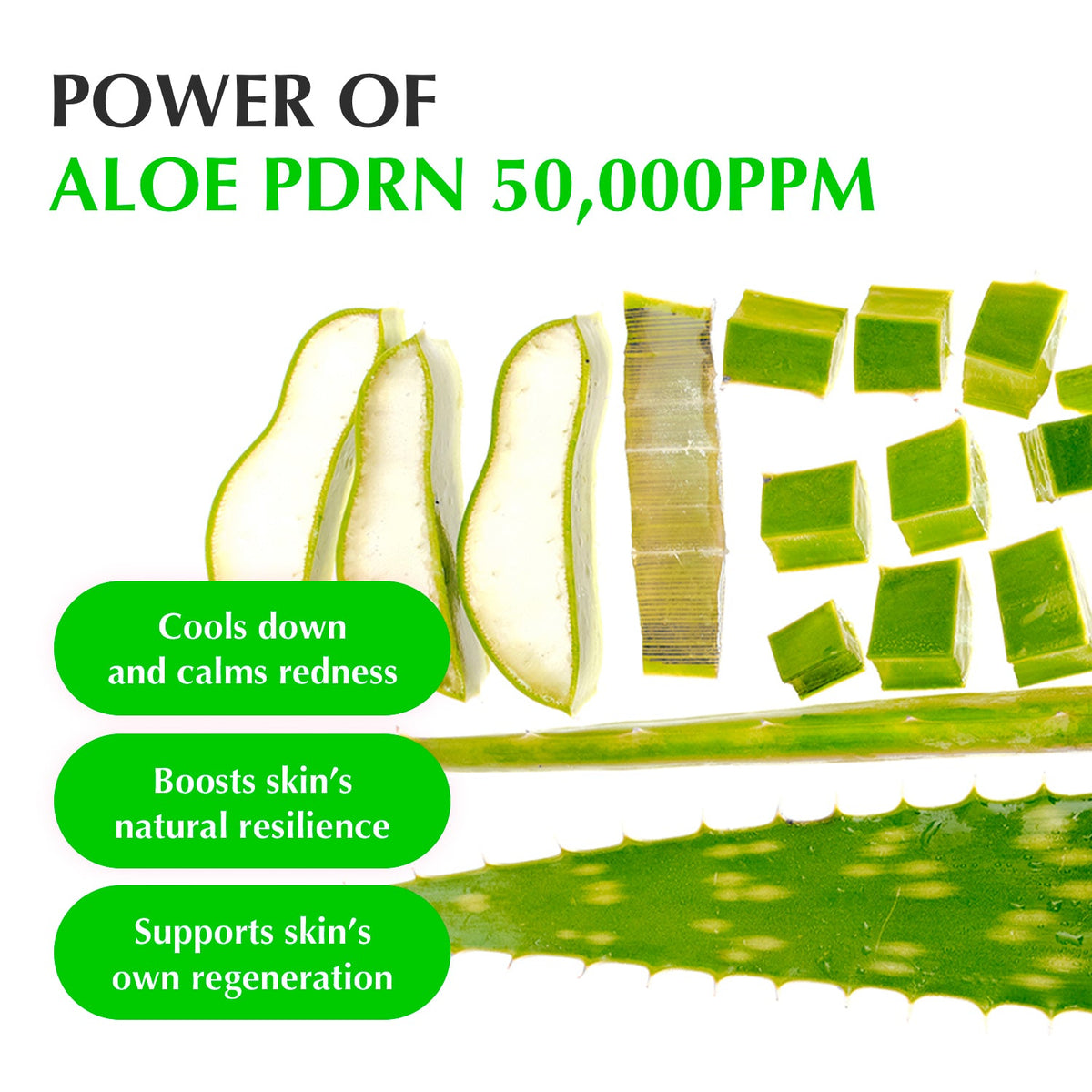 EQQUALBERRY Aloe PDRN Calming Serum 30ml