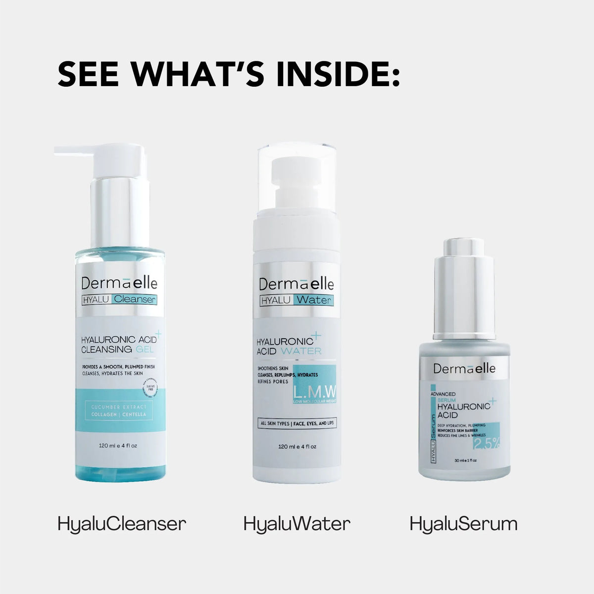 Dermaelle Hydration & Plumping Hyaluronic Acid Routine Kit Routine